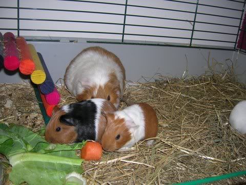 DSCN2976.jpg