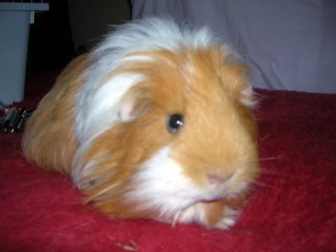 DSCN3017.jpg