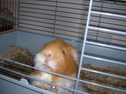 DSCN3026.jpg