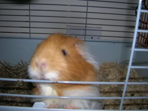 DSCN3027.jpg