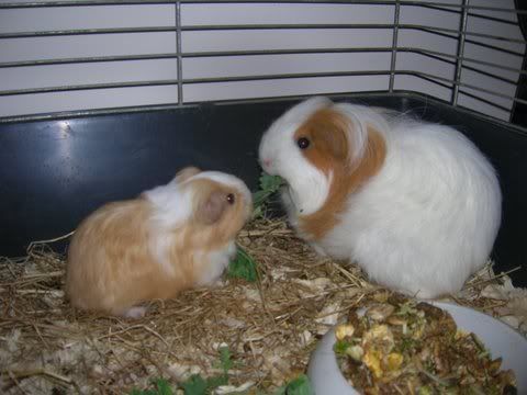 DSCN3028.jpg
