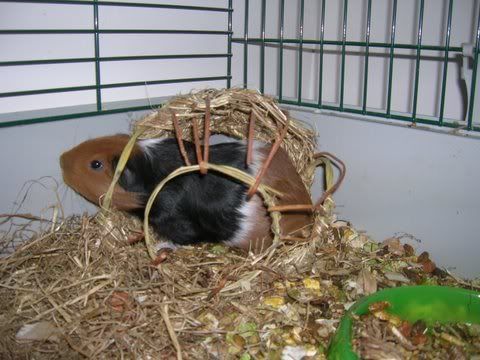 DSCN3041.jpg