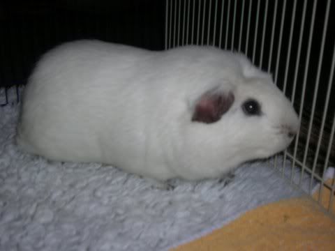 DSCN3047.jpg