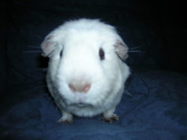DSCN3058.jpg