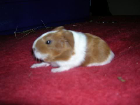 DSCN3086.jpg
