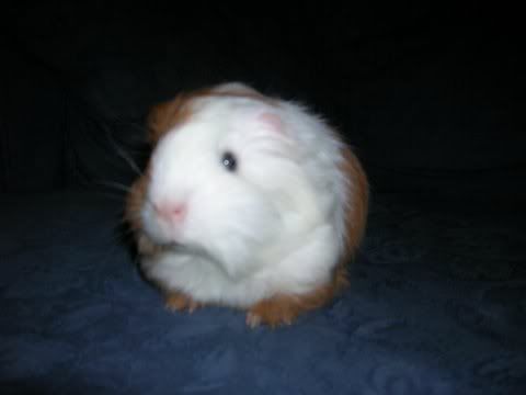 DSCN3109.jpg