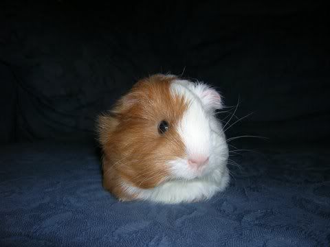 DSCN3112.jpg