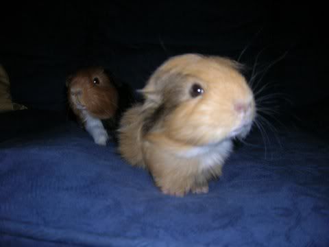 DSCN3132.jpg