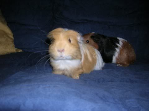 DSCN3138.jpg