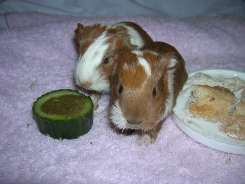 DSCN3150.jpg