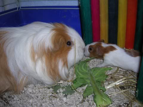 DSCN3166.jpg
