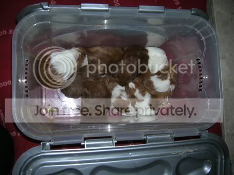 DSCN3183.jpg