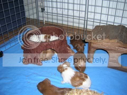 DSCN3185.jpg
