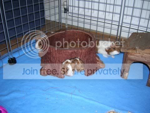DSCN3189.jpg
