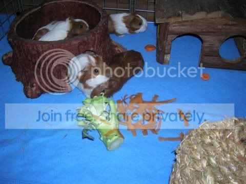 DSCN3191.jpg