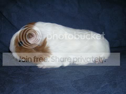 DSCN3204.jpg