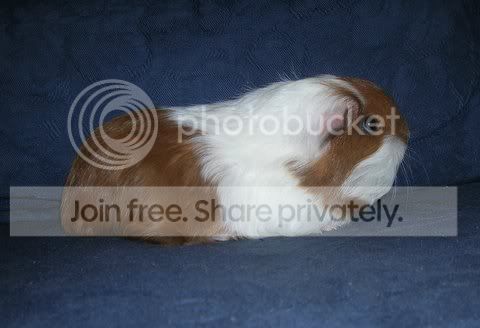 DSCN3208.jpg