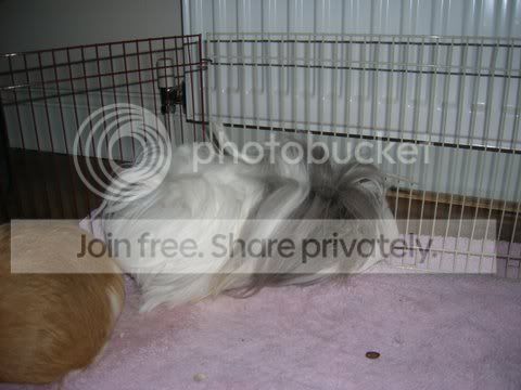 DSCN3234.jpg