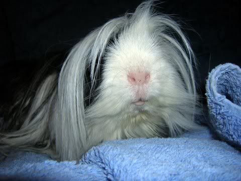 DSCN3264.jpg