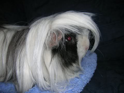 DSCN3266.jpg