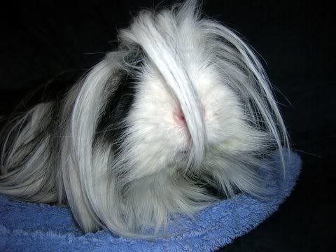 DSCN3267.jpg
