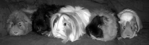 DSCN3284.jpg