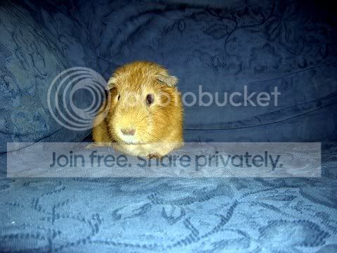DSCN3301.jpg