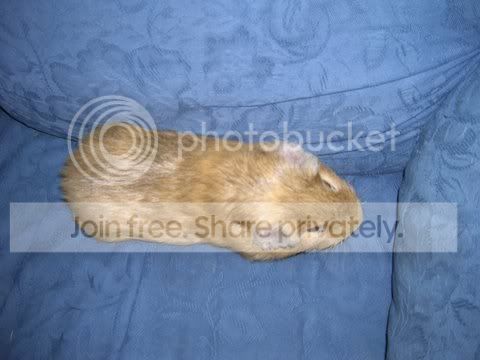 DSCN3304.jpg
