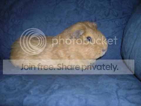 DSCN3305.jpg
