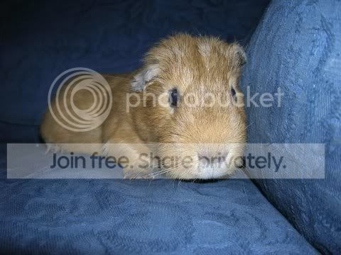 DSCN3306.jpg