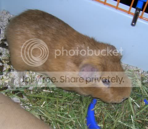 DSCN3346.jpg