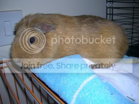DSCN3350.jpg