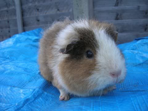 DSCN3373.jpg