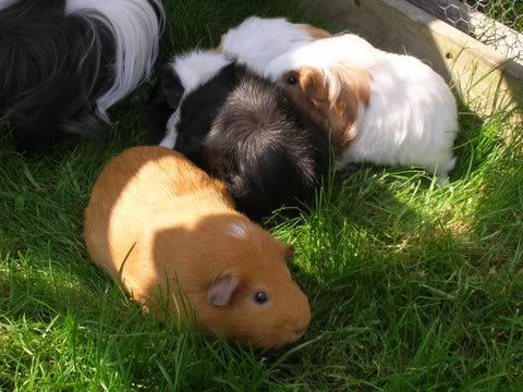DSCN3388.jpg