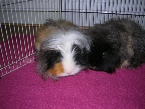 DSCN3403.jpg