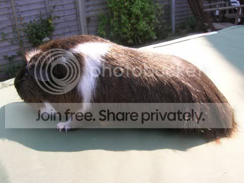 DSCN3405.jpg
