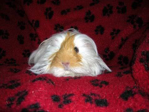 DSCN3424.jpg