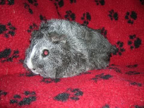 DSCN3429.jpg