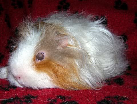 DSCN3439.jpg