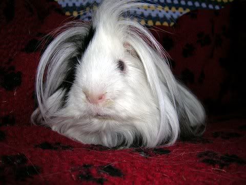 DSCN3460.jpg