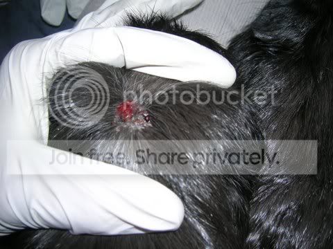 DSCN3483.jpg