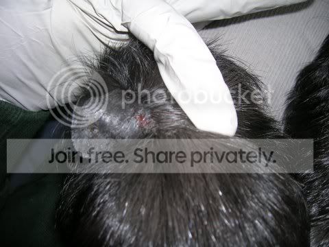 DSCN3485.jpg