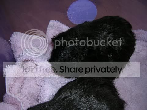 DSCN3487.jpg