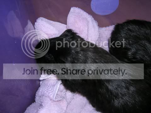 DSCN3488.jpg