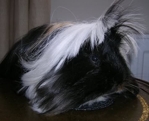 DSCN3492.jpg