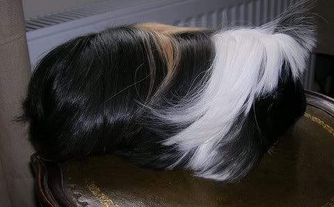 DSCN3493.jpg