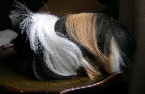 DSCN3494.jpg