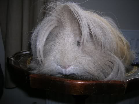 DSCN3497.jpg