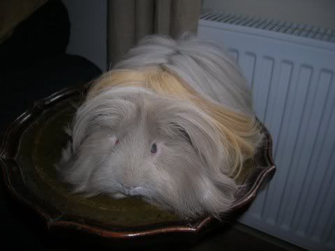 DSCN3500.jpg