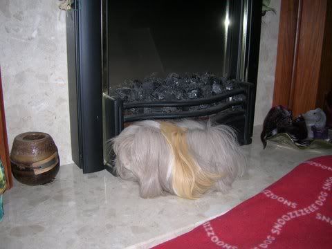 DSCN3501.jpg
